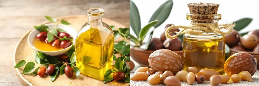 argan oil dan jojoba oil